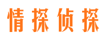 安乡找人公司